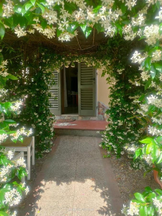 La Casa Di Fiorella Cerreto Guidi Zewnętrze zdjęcie
